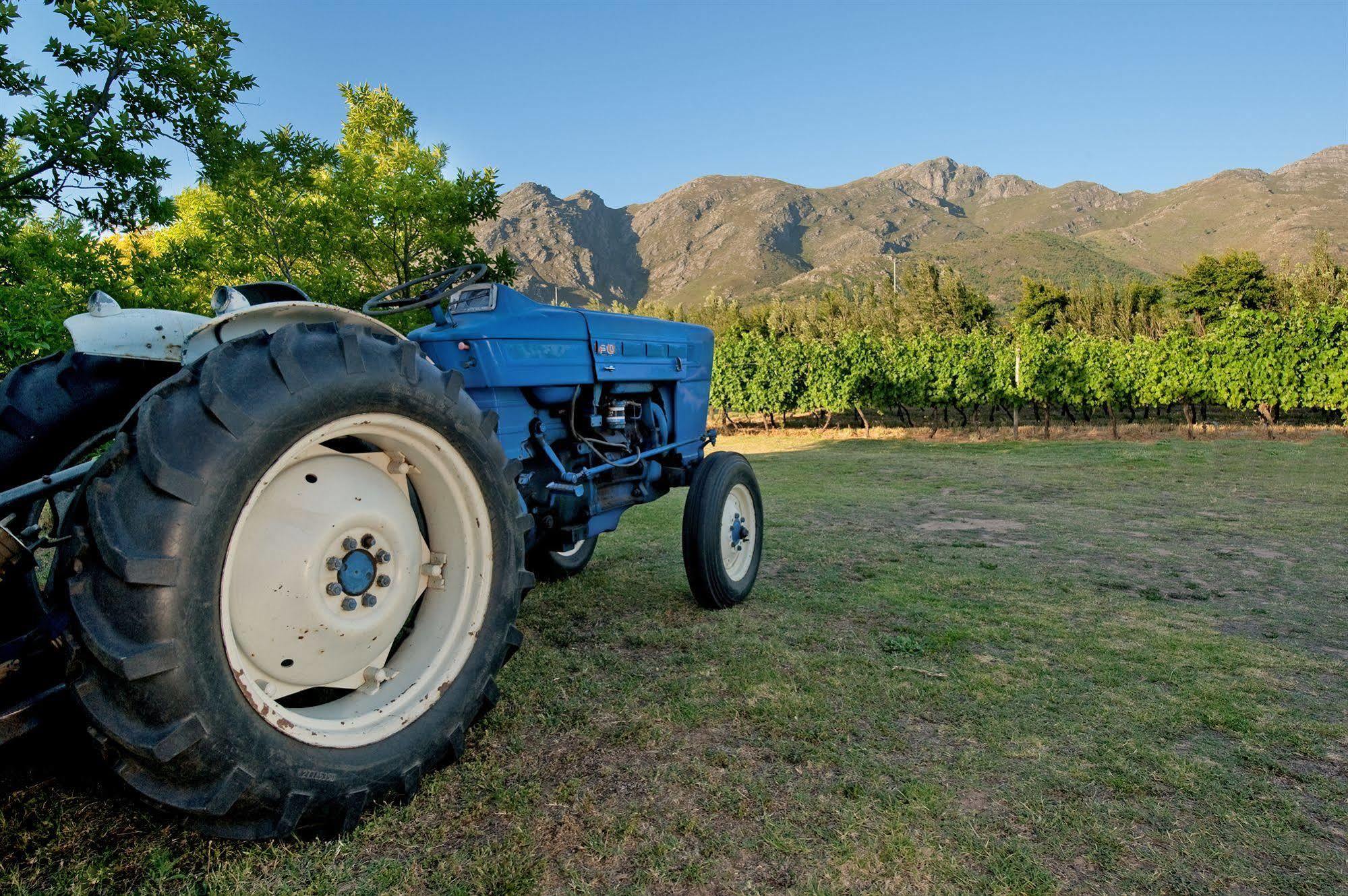 La Galiniere Guest Cottages Franschhoek Kültér fotó